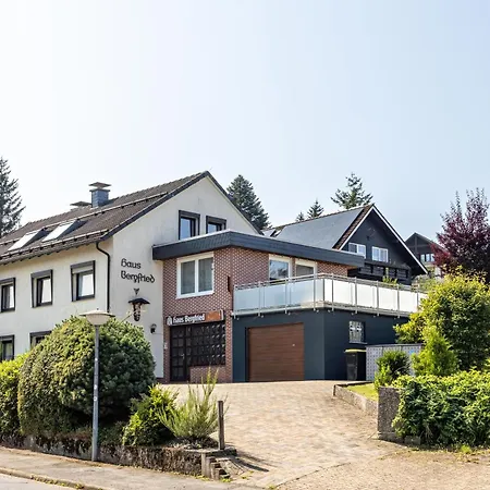 Haus Bergfried شقة برونلاغ